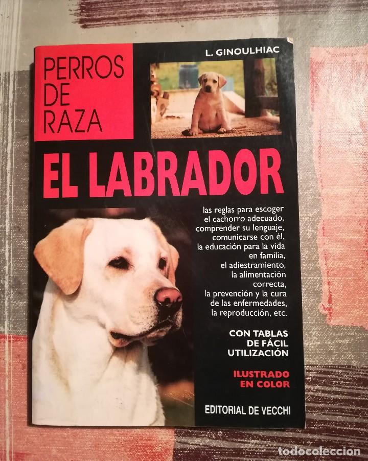 Libros de segunda mano: Perros de raza. El labrador - L. Ginoulhiac - Foto 1