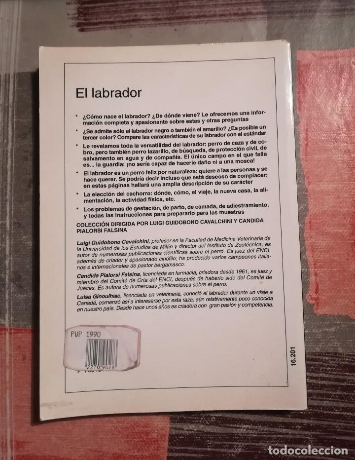 Libros de segunda mano: Perros de raza. El labrador - L. Ginoulhiac - Foto 2