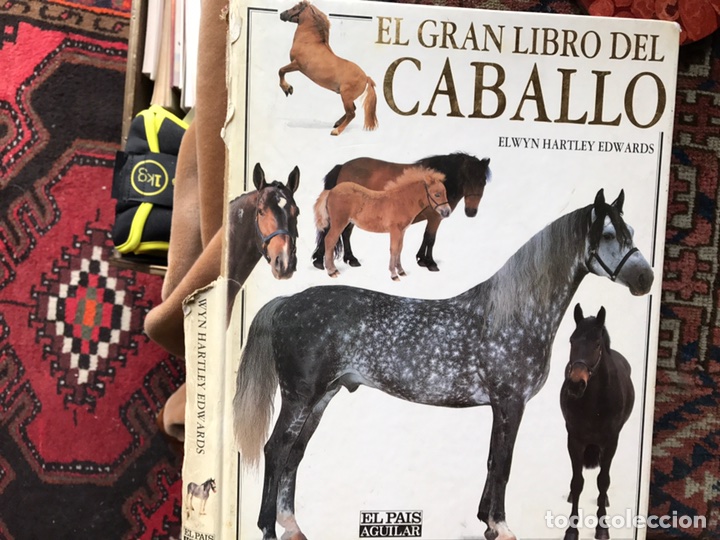 Libros de segunda mano: El gran libro del caballo - Foto 1