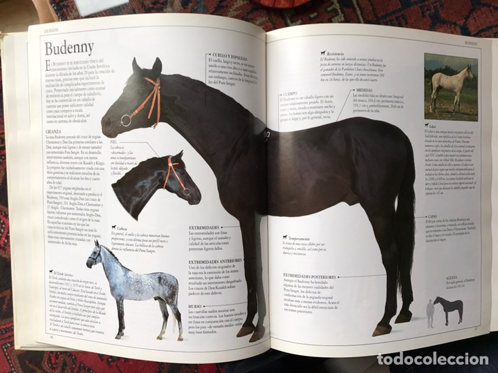 Libros de segunda mano: El gran libro del caballo - Foto 4