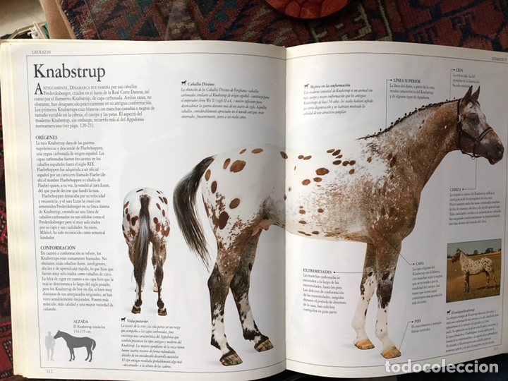 Libros de segunda mano: El gran libro del caballo - Foto 5