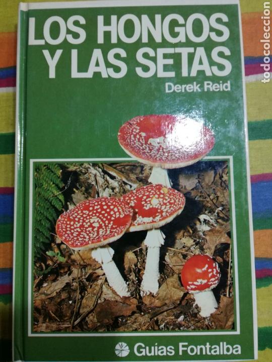 Libros de segunda mano: LOS HONGOS Y LAS SETAS. DEREK REID. - Foto 1