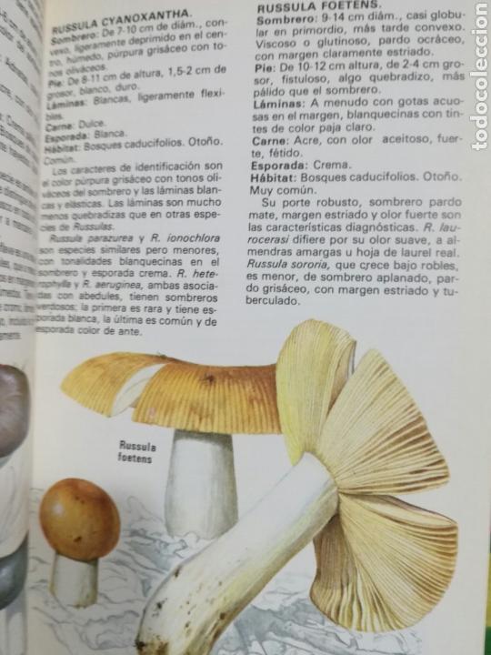 Libros de segunda mano: LOS HONGOS Y LAS SETAS. DEREK REID. - Foto 2