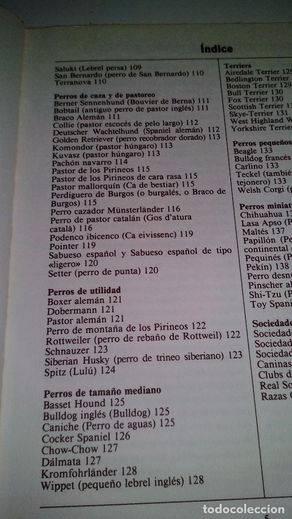 Libros de segunda mano: EL NUEVO LIBRO DE EL PERRO-Hans J. Ullmann 1985 Ed. circulo de lectores - Foto 9