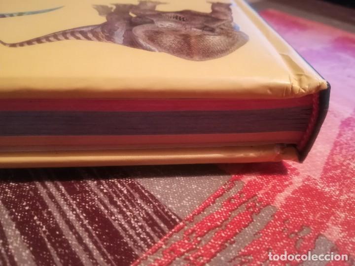 Libros de segunda mano: El gran libro de los dinosaurios - Servilibro - Foto 12