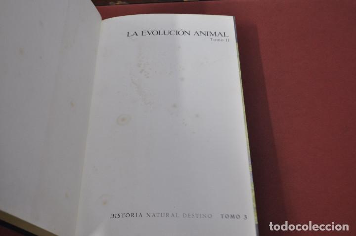 Libros de segunda mano: la evoluci&oacute;n animal tomo II - FFB - Foto 2