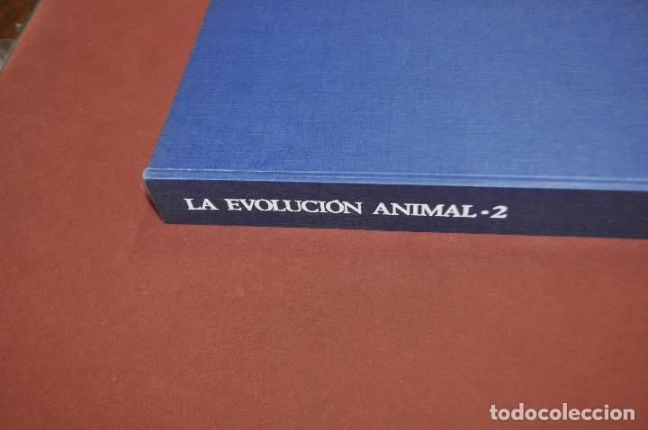 Libros de segunda mano: la evoluci&oacute;n animal tomo II - FFB - Foto 3