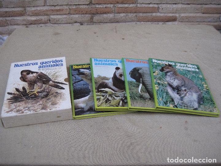 Libros de segunda mano: NUESTROS QUERIDOS ANIMALES ( 4 TOMOS ) - Foto 1