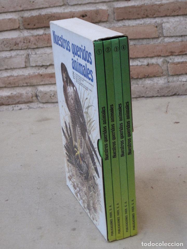 Libros de segunda mano: NUESTROS QUERIDOS ANIMALES ( 4 TOMOS ) - Foto 2