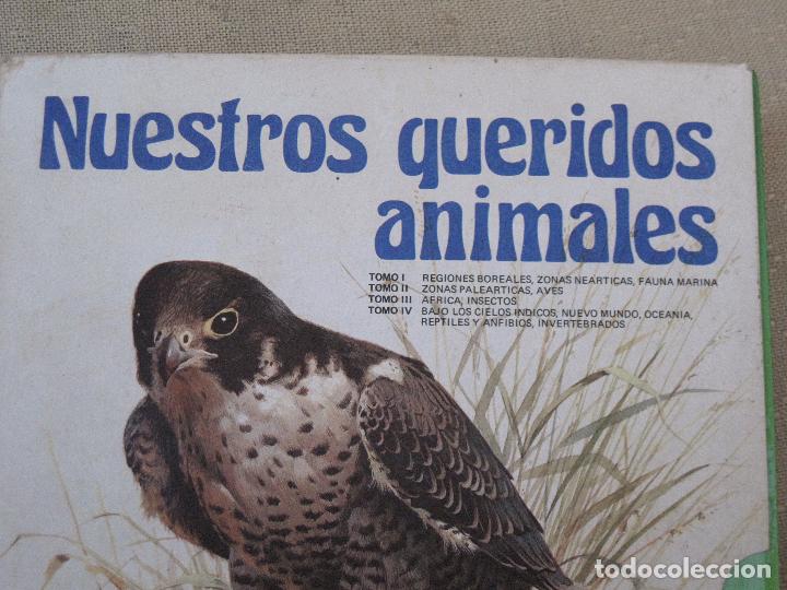 Libros de segunda mano: NUESTROS QUERIDOS ANIMALES ( 4 TOMOS ) - Foto 3