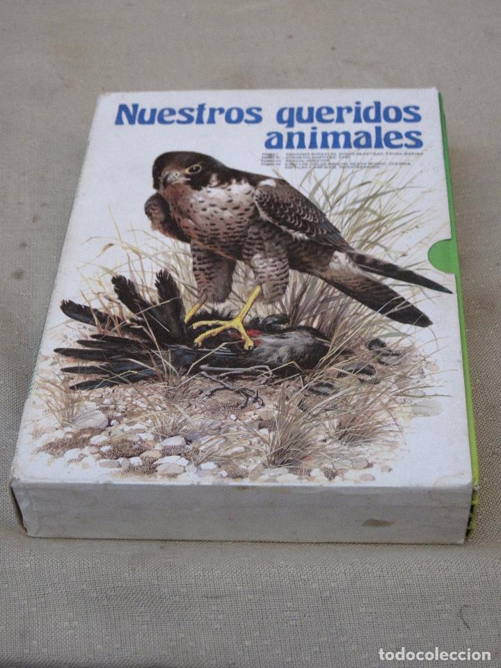 Libros de segunda mano: NUESTROS QUERIDOS ANIMALES ( 4 TOMOS ) - Foto 4