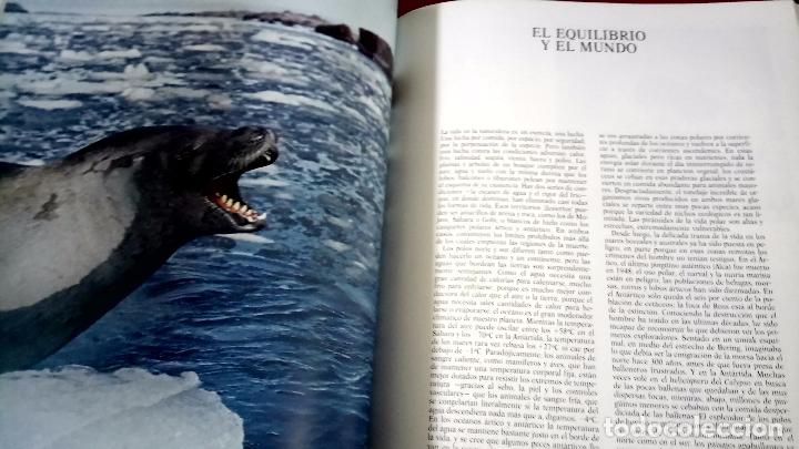 Libros de segunda mano: JACQUES COUSTEAU. MUNDO SUBMARINO. 2 TOMOS - Foto 3