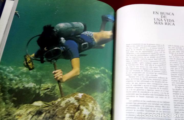 Libros de segunda mano: JACQUES COUSTEAU. MUNDO SUBMARINO. 2 TOMOS - Foto 4