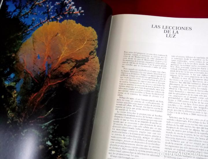 Libros de segunda mano: JACQUES COUSTEAU. MUNDO SUBMARINO. 2 TOMOS - Foto 5