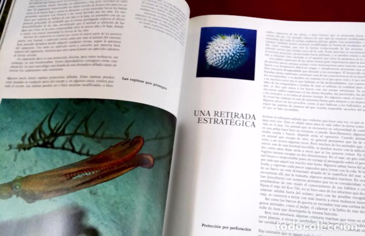 Libros de segunda mano: JACQUES COUSTEAU. MUNDO SUBMARINO. 2 TOMOS - Foto 6