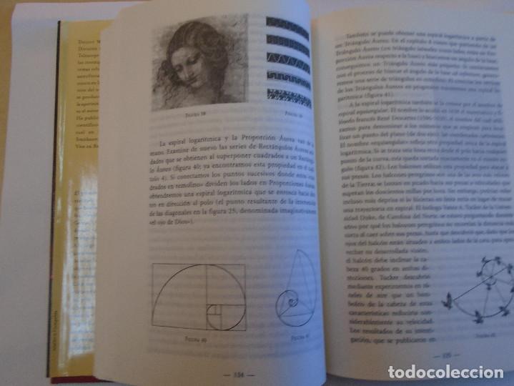 Libros de segunda mano de ciencias: La proporci&oacute;n &aacute;urea - Foto 3