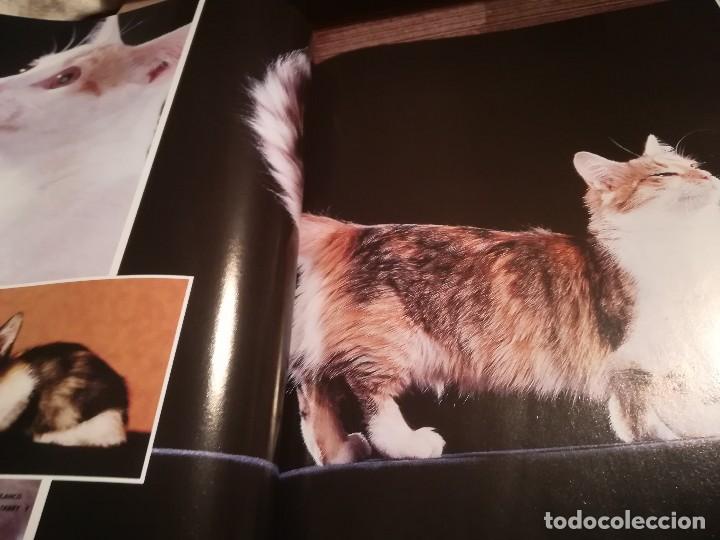 Libros de segunda mano: Enciclopedia del Gato n&ordm; 4 - Royal Canin - Foto 4