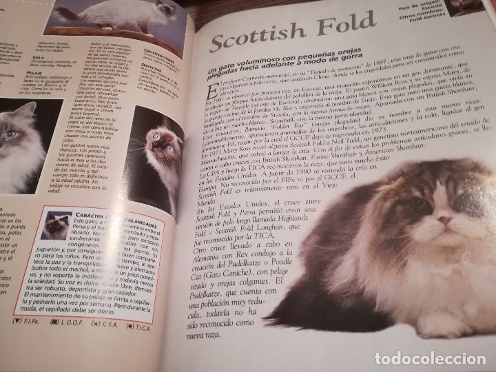 Libros de segunda mano: Enciclopedia del Gato n&ordm; 4 - Royal Canin - Foto 5