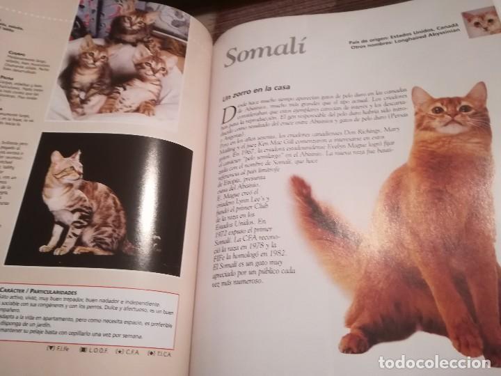 Libros de segunda mano: Enciclopedia del Gato n&ordm; 4 - Royal Canin - Foto 6