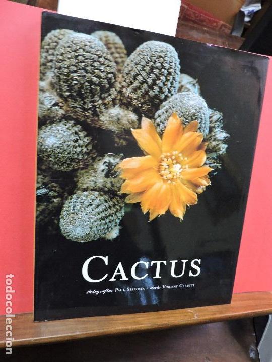 Libros de segunda mano: Cactus. STAROSTA, P. CERUTTI, V. Barcelona 1996 - Foto 1