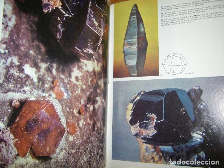 Libros de segunda mano: El mundo de los cristales. Teide - Foto 28