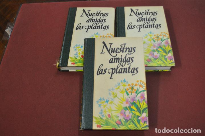 Libros de segunda mano: nuestras amigas las plantas , circulo de amigos de la historia - FFB - Foto 1