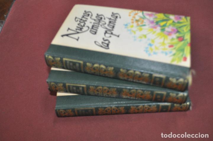 Libros de segunda mano: nuestras amigas las plantas , circulo de amigos de la historia - FFB - Foto 2