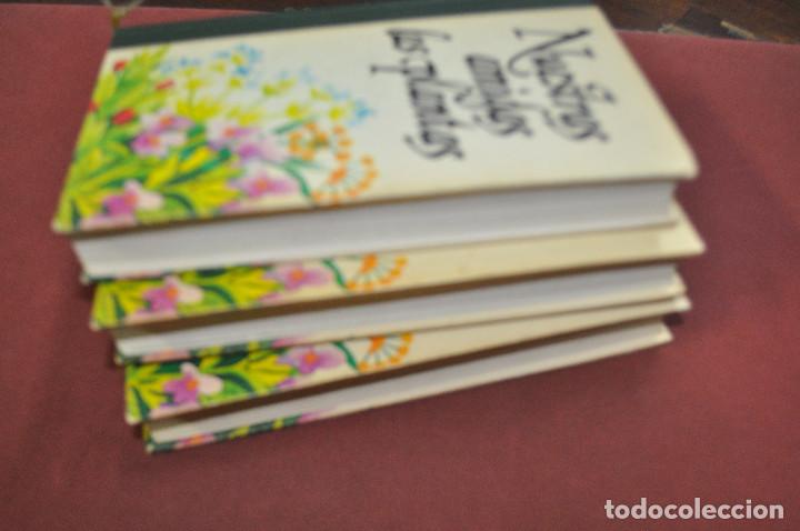 Libros de segunda mano: nuestras amigas las plantas , circulo de amigos de la historia - FFB - Foto 3