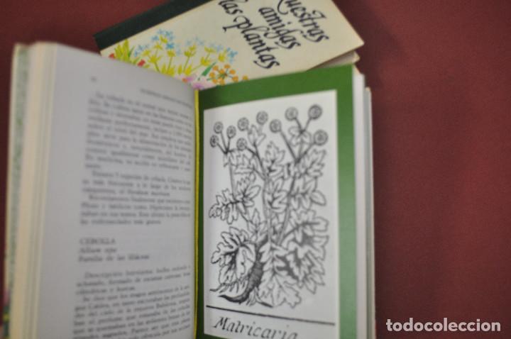 Libros de segunda mano: nuestras amigas las plantas , circulo de amigos de la historia - FFB - Foto 4