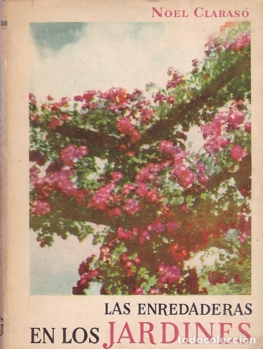 Libros de segunda mano: NOEL CLARAS&Oacute; - LAS ENREDADERAS EN LOS JARDINES - EDICIONES GILI / ILUSTRADO - Foto 1