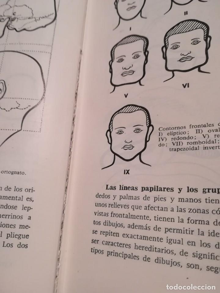 Libros de segunda mano: Razas humanas - Augusto Panyella - Biblioteca Hispania - 1961 - Foto 6
