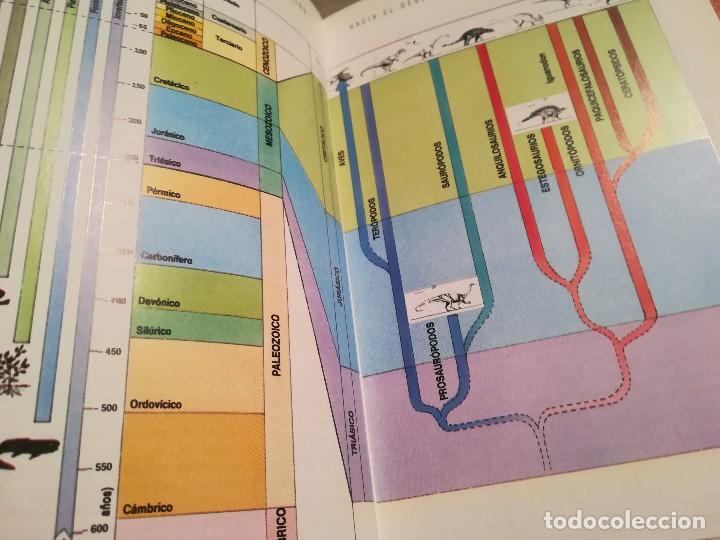 Libros de segunda mano: Tras la pista de los dinosaurios - &Eacute;ric Buffetaut - Conocer la ciencia - Foto 3