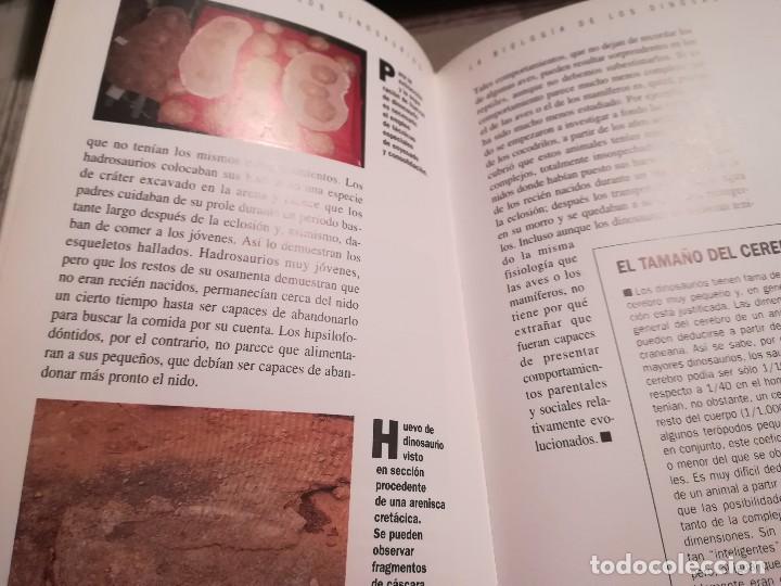Libros de segunda mano: Tras la pista de los dinosaurios - &Eacute;ric Buffetaut - Conocer la ciencia - Foto 6