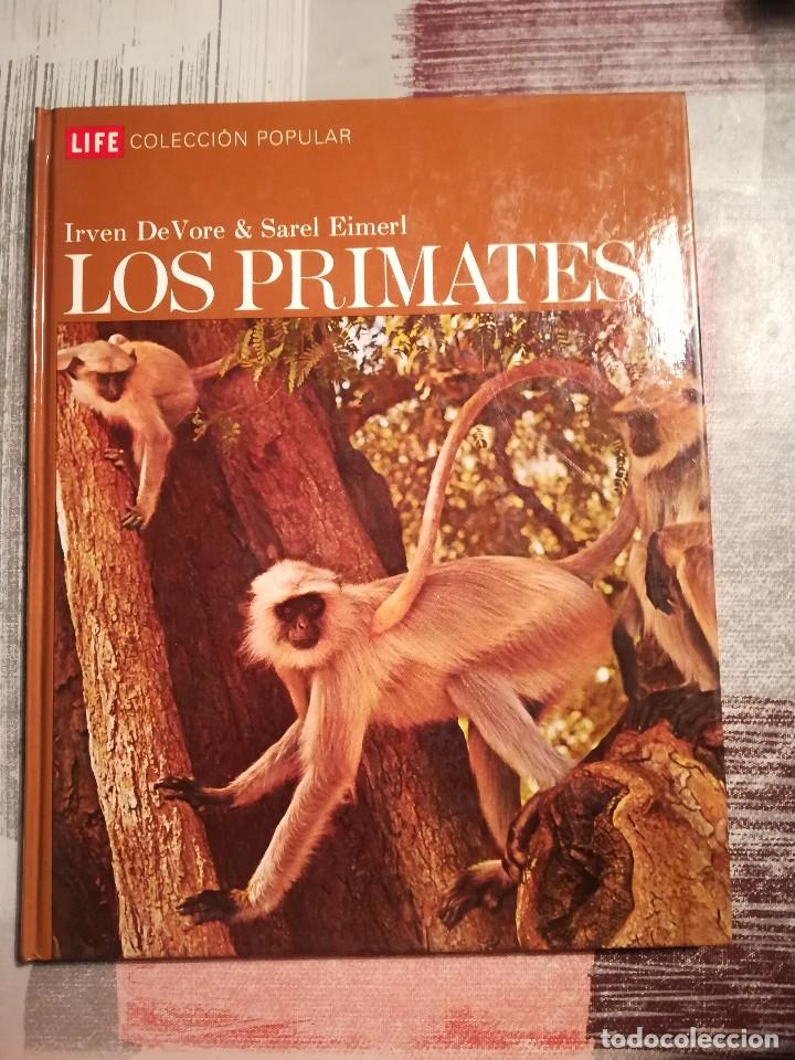 Libros de segunda mano: Los primates - Irven De Vore & Sarel Eimerl - Life Colecci&oacute;n Popular - Foto 1