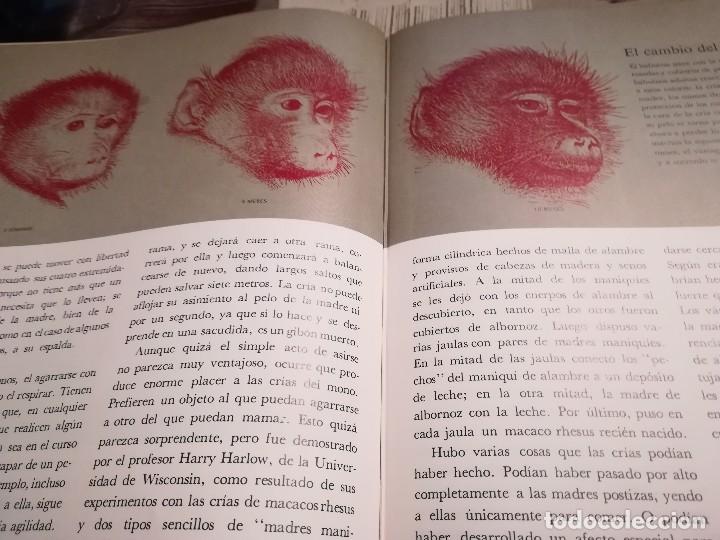 Libros de segunda mano: Los primates - Irven De Vore & Sarel Eimerl - Life Colecci&oacute;n Popular - Foto 4
