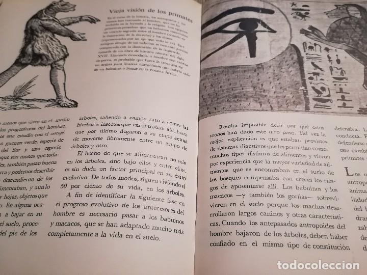 Libros de segunda mano: Los primates - Irven De Vore & Sarel Eimerl - Life Colecci&oacute;n Popular - Foto 6