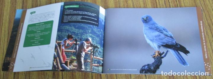 Libros de segunda mano: OBSERVACION DE AVES - Gu&iacute;a para la pr&aacute;ctica del birding - Euskadi - Foto 4