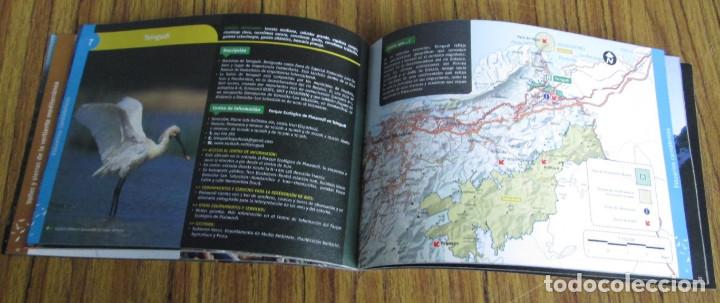 Libros de segunda mano: OBSERVACION DE AVES - Gu&iacute;a para la pr&aacute;ctica del birding - Euskadi - Foto 5
