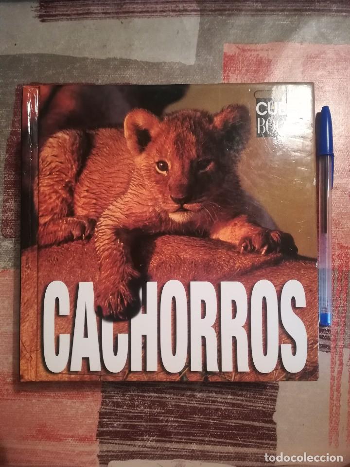 Libros de segunda mano: Cachorros - Texto de: &Aacute;ngela Serena Ildos - Cube Book - Foto 1