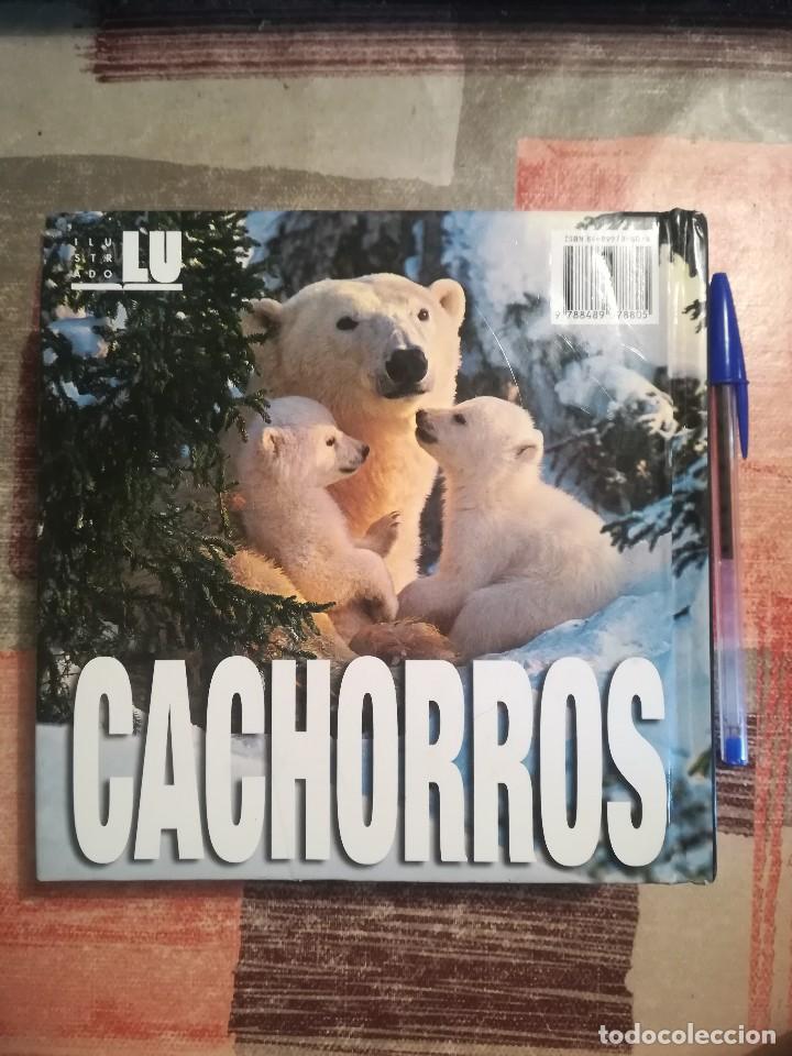 Libros de segunda mano: Cachorros - Texto de: &Aacute;ngela Serena Ildos - Cube Book - Foto 2