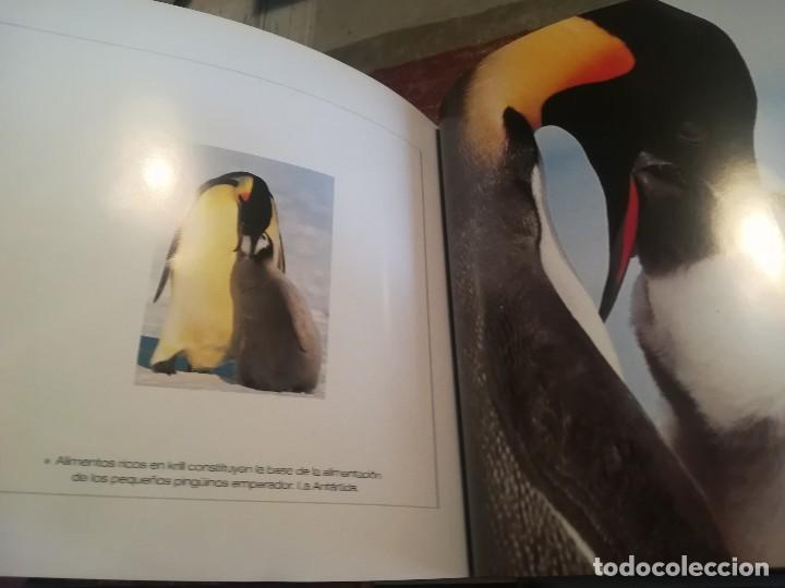 Libros de segunda mano: Cachorros - Texto de: &Aacute;ngela Serena Ildos - Cube Book - Foto 5