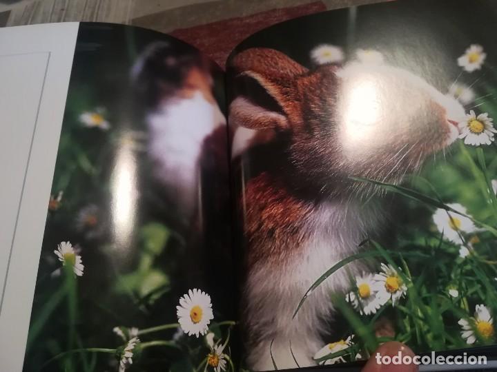 Libros de segunda mano: Cachorros - Texto de: &Aacute;ngela Serena Ildos - Cube Book - Foto 6