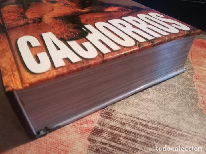 Libros de segunda mano: Cachorros - Texto de: &Aacute;ngela Serena Ildos - Cube Book - Foto 8