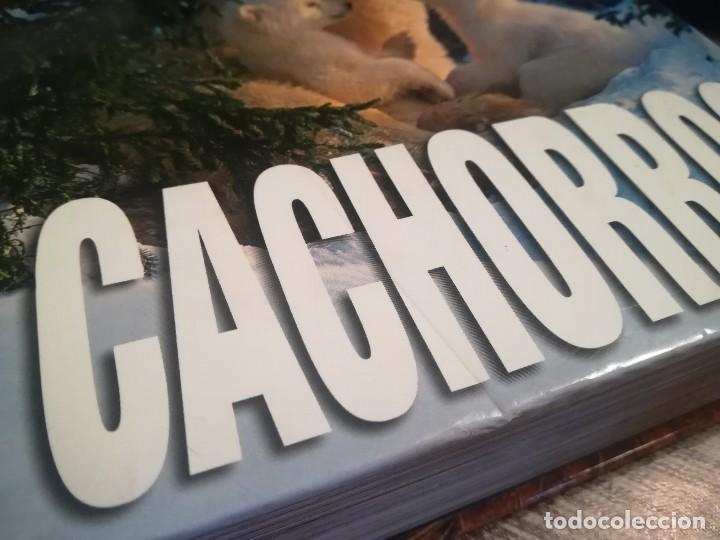 Libros de segunda mano: Cachorros - Texto de: &Aacute;ngela Serena Ildos - Cube Book - Foto 12