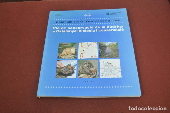Libros de segunda mano: pla de conservaci&oacute; de la ll&uacute;driga a catalunya : biologia i conservaci&oacute; - FFB - Foto 1