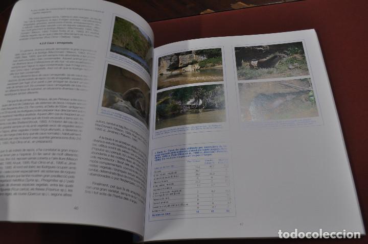 Libros de segunda mano: pla de conservaci&oacute; de la ll&uacute;driga a catalunya : biologia i conservaci&oacute; - FFB - Foto 2