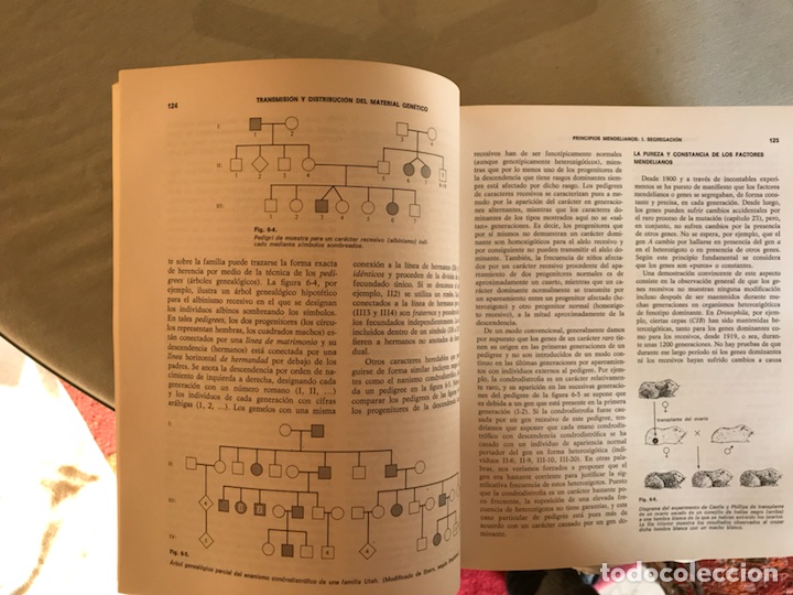 Libros de segunda mano: Gen&eacute;tica. Strickberger - Foto 6