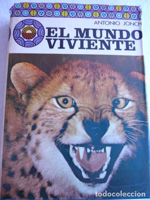 Libros de segunda mano: Biblioteca de la Cultura Danae Antonio Jonch - Foto 1