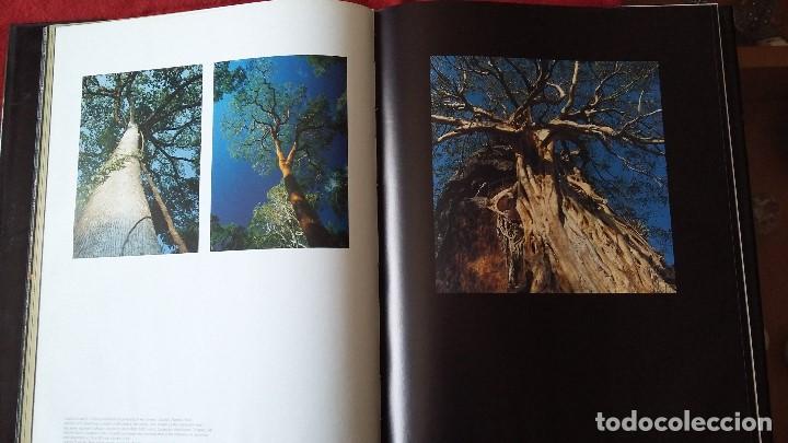 Libros de segunda mano: NATURALEZA MEXICANA, versi&oacute;n inglesa (MEXICAN NATURE) - Foto 4