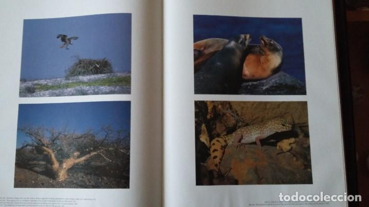 Libros de segunda mano: NATURALEZA MEXICANA, versi&oacute;n inglesa (MEXICAN NATURE) - Foto 5